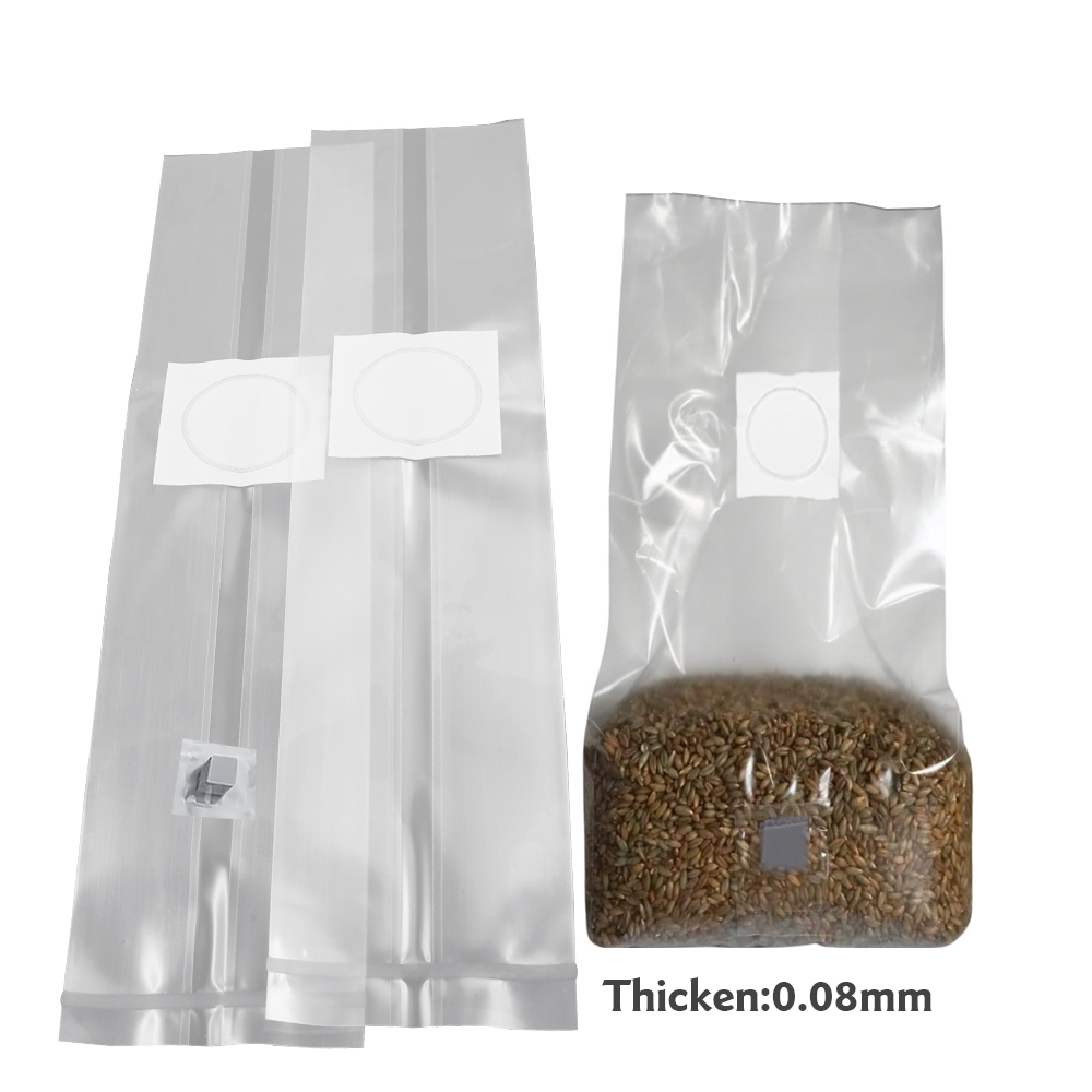 10 sacs de culture de champign - Mushroom Spawn Bag avis et prix