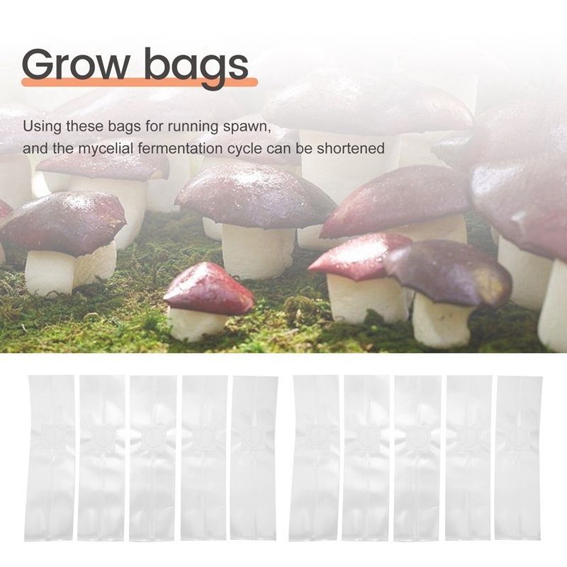 SEWS-100PCS Substrat de graine - Mushroom Spawn Bag avis et prix
