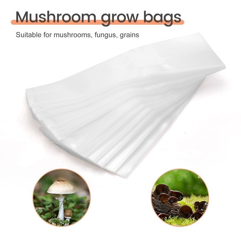 SEWS-100PCS Substrat de graine - Mushroom Spawn Bag avis et prix