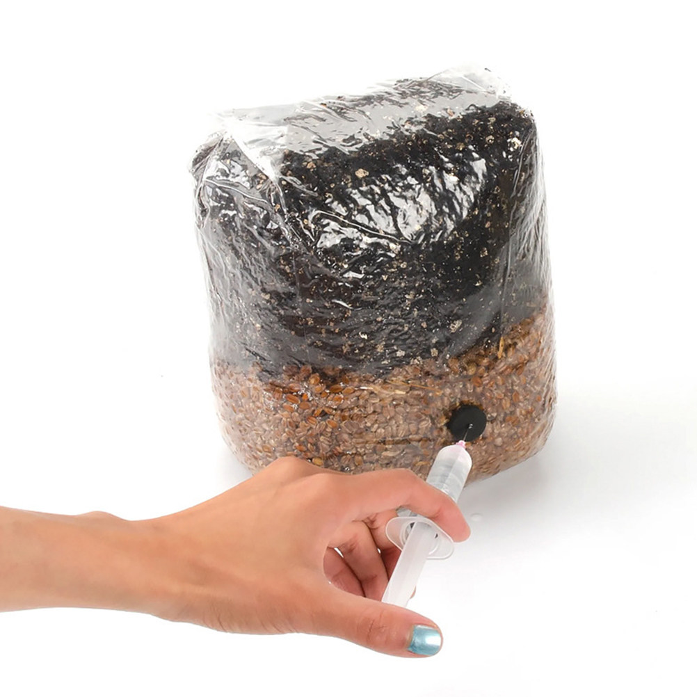 20 sacs de culture de champign - Mushroom Spawn Bag avis et prix